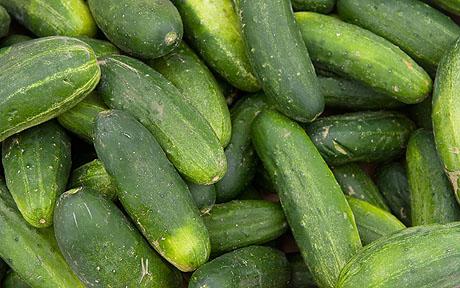 Cucumbers are offered for sale at Easter Cucumbers are offered for sale at Easter