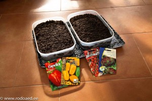 Tomaatin ja paprikan esikasvatus